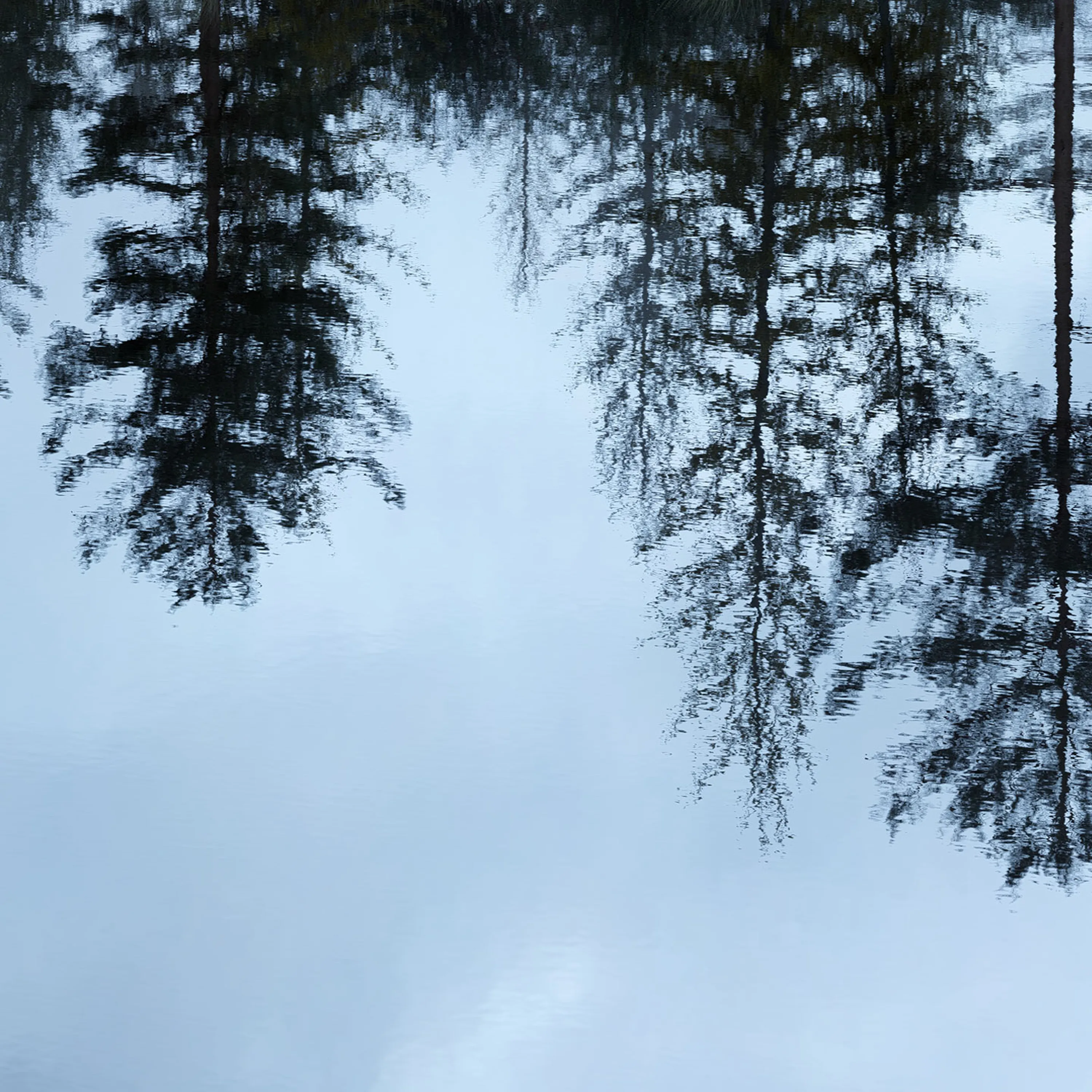 Wasser-Natur-Reflektionen-Raytracing-Nahaufnahme