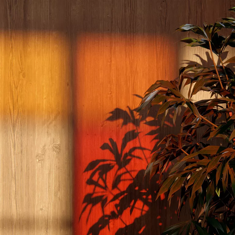 Farbige Schatten
