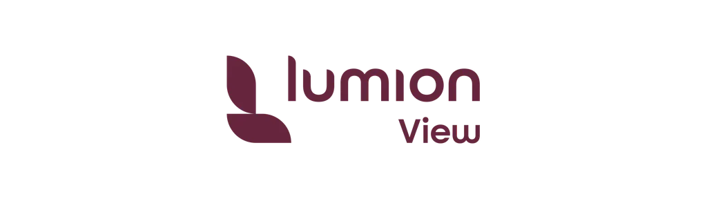 Lumion View
